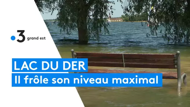 Le lac du Der frôle son niveau maximal