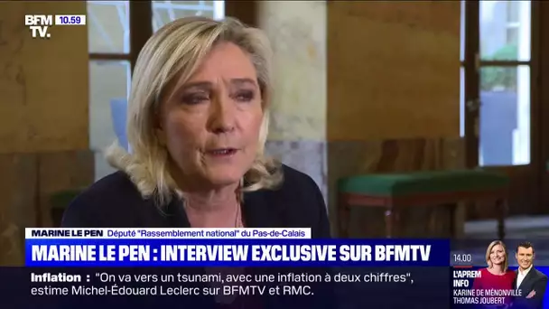 Marien Le Pen: "Ce qu'a subi Grégoire de Fournas est une véritable manipulation"