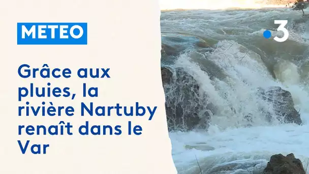 Grâce aux pluies, la rivière Nartuby renaît dans le Var