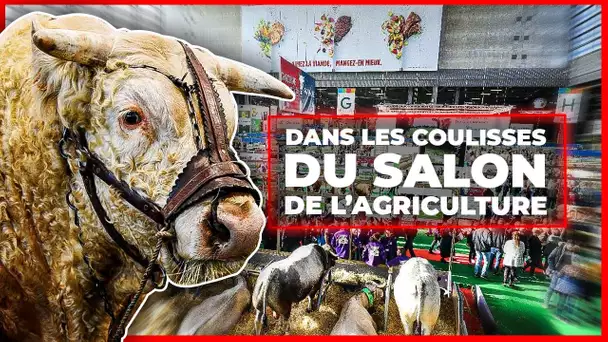 Dans les coulisses du Salon de l'Agriculture