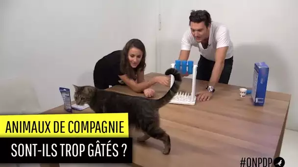 Allons-nous trop loin pour nos animaux ?