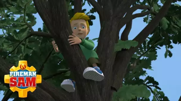 James Jones coincé dans un arbre ! | Sam le Pompier | WildBrain Enfants