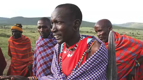 Le folklore bidonné des réserves Masai