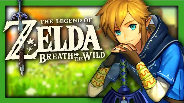 Zelda Breath of the Wild : DE RETOUR POUR LE 100% + Debrief Actus