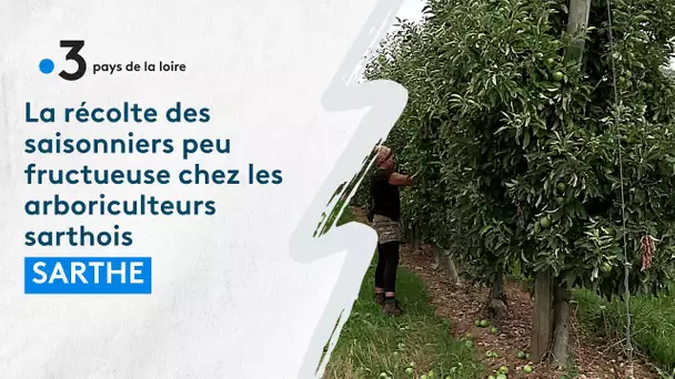 La campagne de recrutement à la peine chez les arboriculteurs de la Sarthe