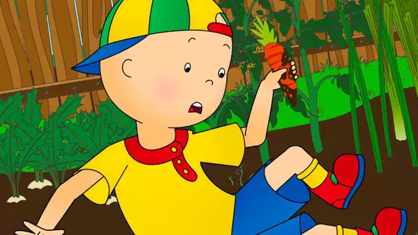 Caillou et les Légumes du Jardin | Caillou en Français