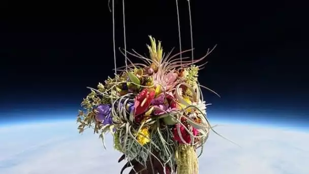 Azuma Makoto a lancé des fleurs dans l’espace !