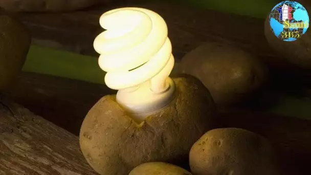 ils utilisent l’énergie d’une pomme de terre cuite pour éclairer une chambre pendant un mois