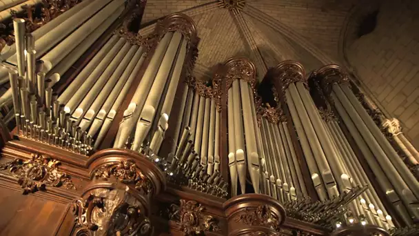 L'orgue de Notre Dame de Paris, ce joyaux qui n'a pas brulé