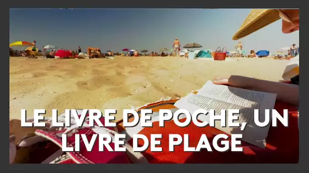 Virginie Grimaldi, Marie Vareille... leurs livres de poche cartonnent sur la plage