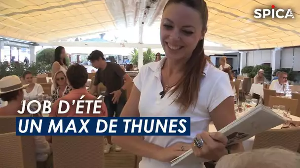 Job d'été : Je me fais un max de thunes