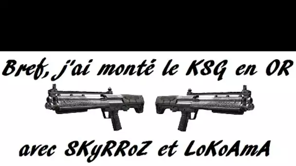 Bref, j&#039;ai monté le KSG en Or (invités SkyRRoZ et LoKoAmA)