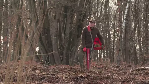 Fontevraud : des écoliers de la commune au chevet de la forêt avec l'ONF
