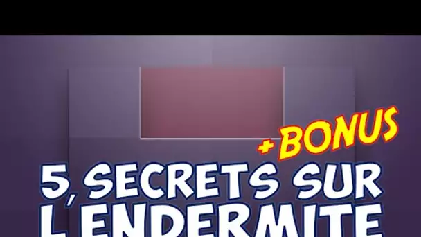 5 SECRETS WTF SUR L&#039;ENDERMITE + BONUS !! Minecraft