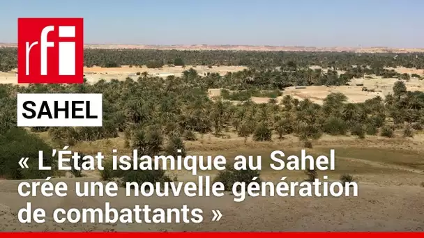 G. Soto-Mayor : « L’État islamique au Sahel crée une nouvelle génération de combattants » • RFI