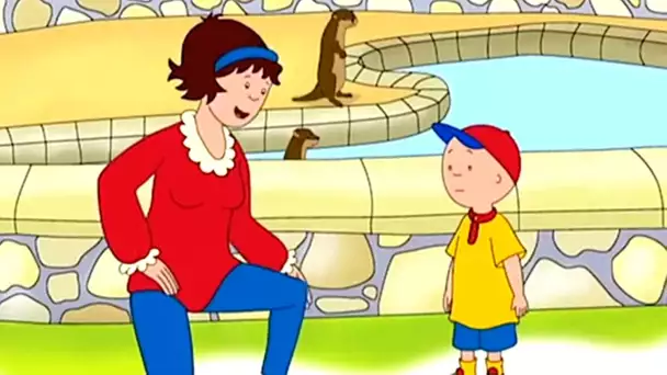 Caillou et la Visite au Zoo | Caillou en Français