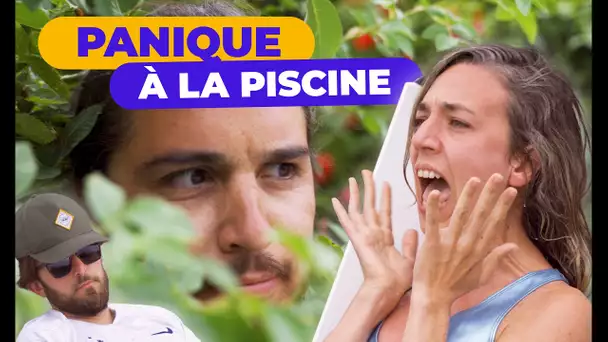 Panique à la piscine