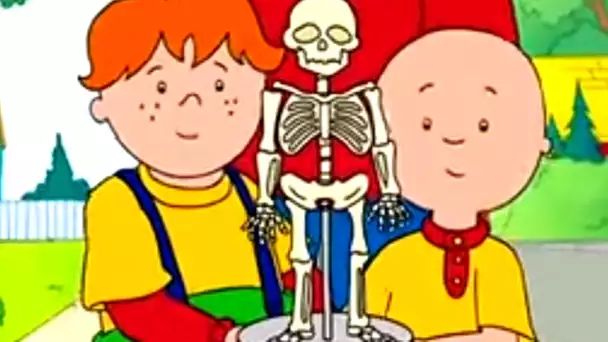 Caillou et le Projet | Caillou en Français