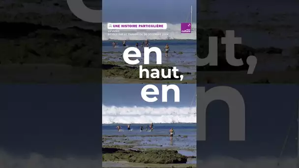 Tsunami de 2004 : 20 ans après, une rescapée témoigne