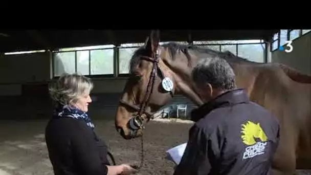 Les coulisses du Jumping International de Royan