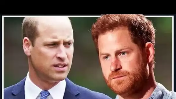 Le prince Harry a averti William rift "irréparable" après une "att@que directe" contre son frère et