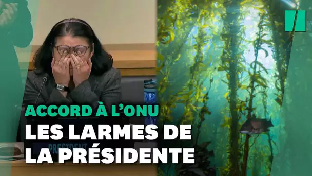 Émotion à l'ONU après un accord inédit sur la protection de la haute mer