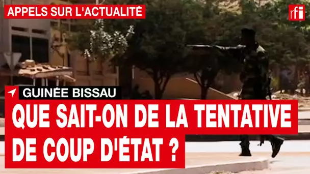 Guinée-Bissau : qui sont les hommes à l'origine de la tentative du coup d'État ?  • RFI