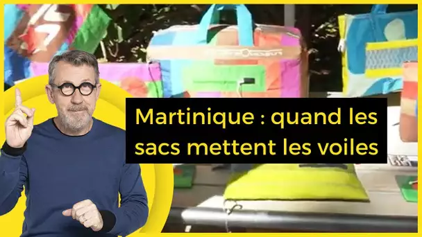 Martinique : quand les sacs mettent les voiles - C Jamy