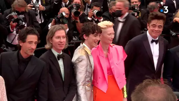 #Cannes2021 - La montée des marches du film de Wes Anderson "The french dispatch"