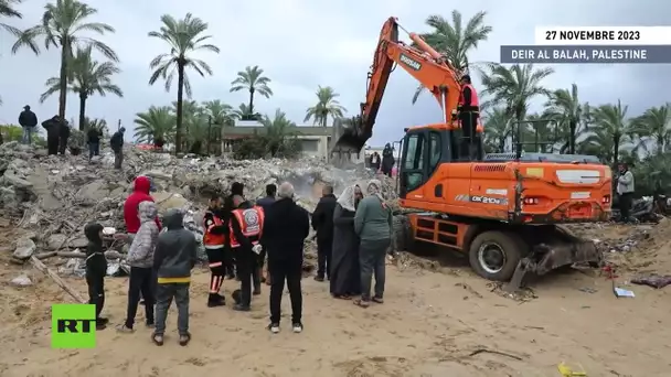 🇵🇸 Gaza : durant la trêve, les opérations de secours se poursuivent