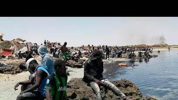 Tunisie : des ONG appellent à secourir des migrants chassés de Sfax