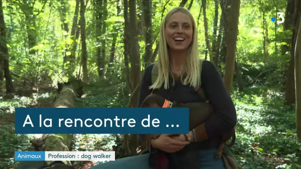 A la rencontre de Clémentine Poupat, promeneuse de chiens en meute au Bois de Vincennes