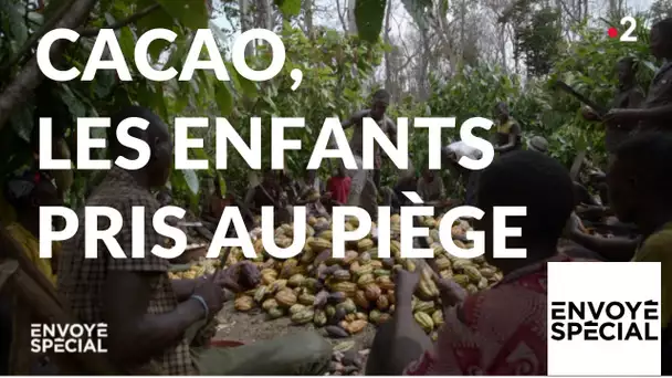 Envoyé spécial. Cacao : les enfants pris au piège - 10 janvier 2019 (France 2)