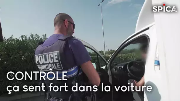 Contrôle : ça sent fort dans la voiture