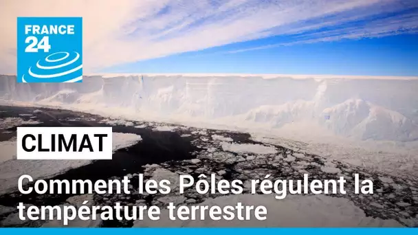 Les Pôles sont des piliers du système climatique et ils sont aujourd'hui menacés. • FRANCE 24