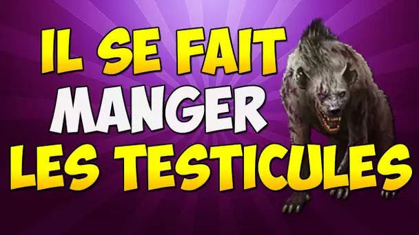 IL SE FAIT MANGER LES TESTICULES !!!