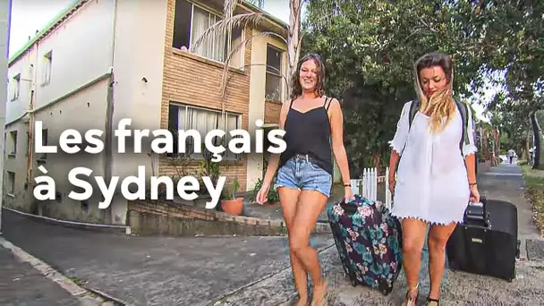 Sydney, l'eldorado des jeunes Français