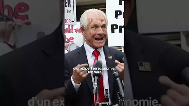 Le conseiller de Trump sur les droits de douane a inventé un faux expert pour soutenir ses thèses.