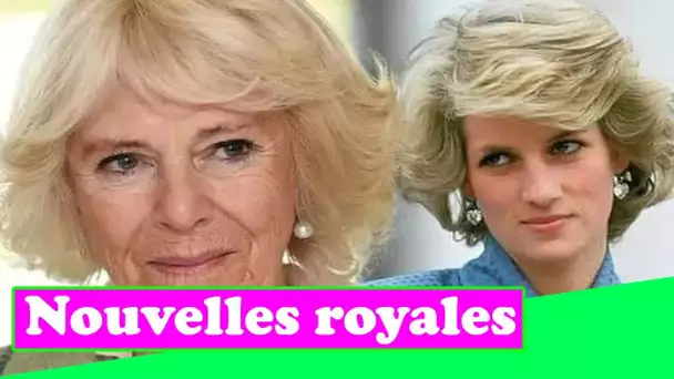 La princesse Diana est arrivée à la conclusion que Charles et Camilla étaient « faits l'un pour l'au