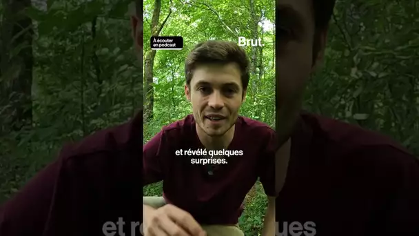 Il filme tout avec une caméra piège pendant 6 mois ! Découvrez le résultat dans "Lucas explique"