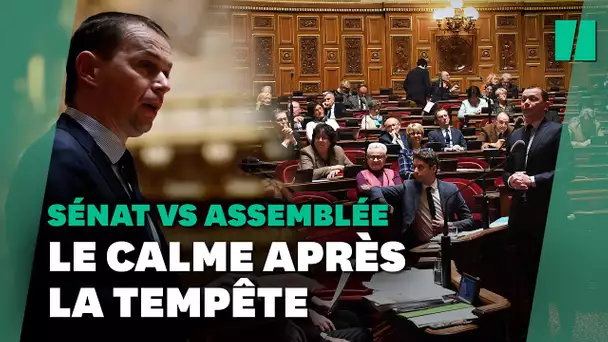 Réforme des retraites : le discours de Dussopt au Sénat comparé à celui de l'Assemblée