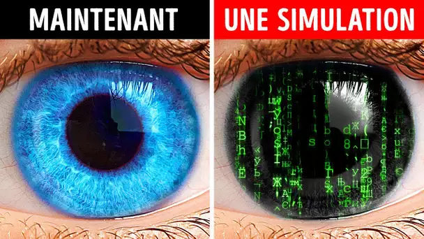 Nous vivons dans une simulation informatique. Ou pas...?