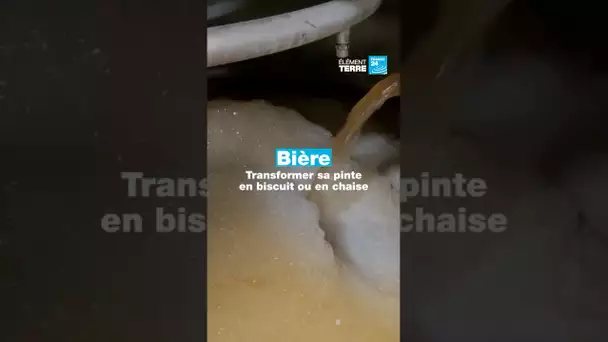Des déchets de bières dans nos biscuits 🍺🍪  • FRANCE 24