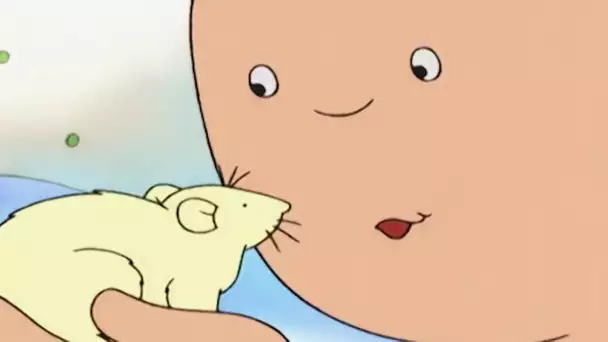 Caillou et le Petit Hamster | Caillou en Français