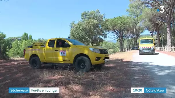 Dans le Var, des agents de l'ONF patrouillent pour éviter les incendies