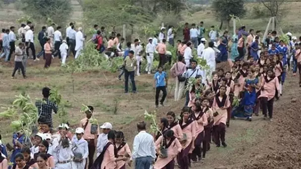 Un Etat en Inde plante 66 millions d'arbres en 12 heures !