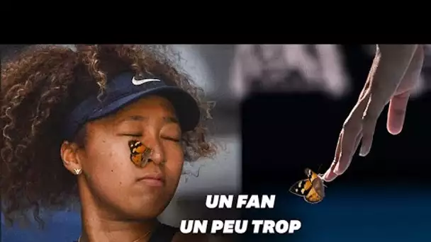 À l’Open d’Australie, ce papillon vole la vedette à Naomi Osaka