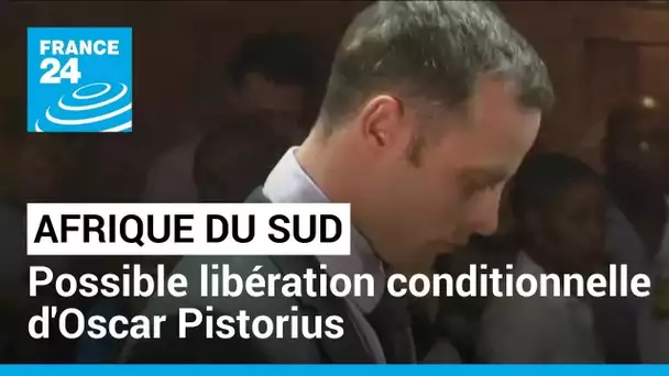 Afrique du Sud : possible libération conditionnelle d'Oscar Pistorius • FRANCE 24