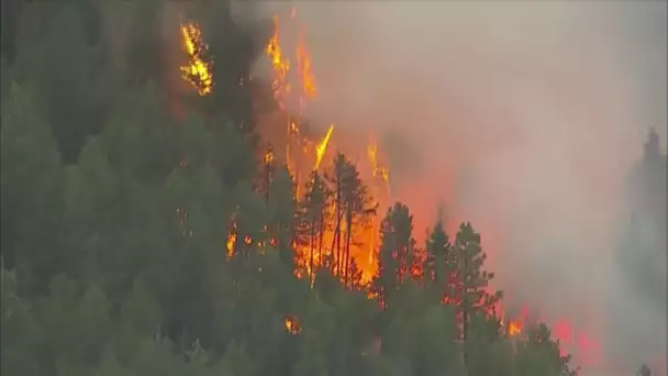 Des incendies ravagent des forêts du Colorado