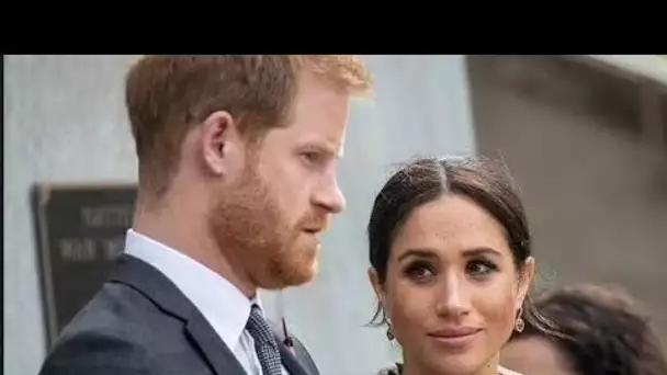 Les docuseries Netflix de Harry et Meghan "coûtent Netflix 40 fois plus que la normale"